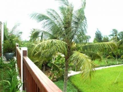 Outdoor Pictures 21