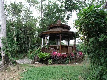 Outdoor Pictures 23