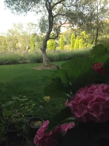 Outdoor Pictures 20