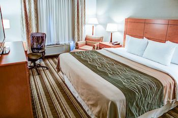 Comfort Inn Metro Airport Romulus