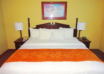 Comfort Suites Lansing