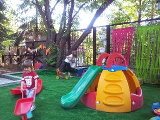 Outdoor Pictures 10