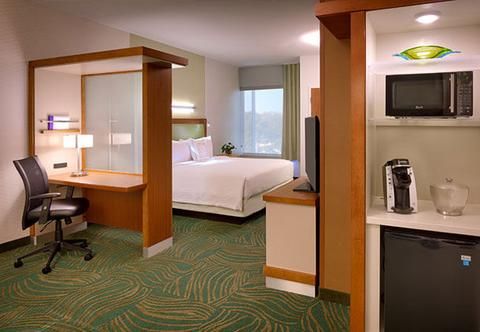 SpringHill Suites by Marriott Houston I-45 North