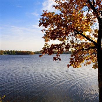 Outdoor Pictures 20