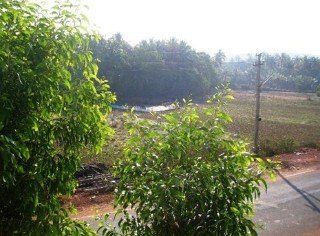 Outdoor Pictures 11