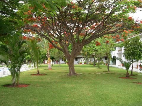 Outdoor Pictures 17