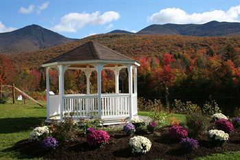 Outdoor Pictures 23