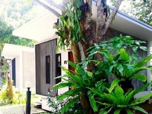 Outdoor Pictures 12