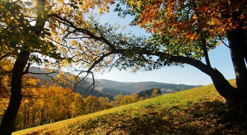 Outdoor Pictures 20