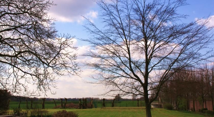 Outdoor Pictures 17