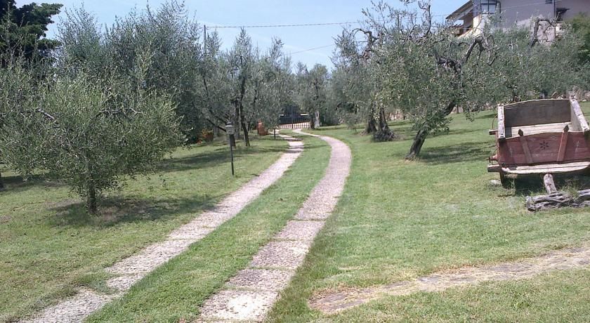 Outdoor Pictures 9