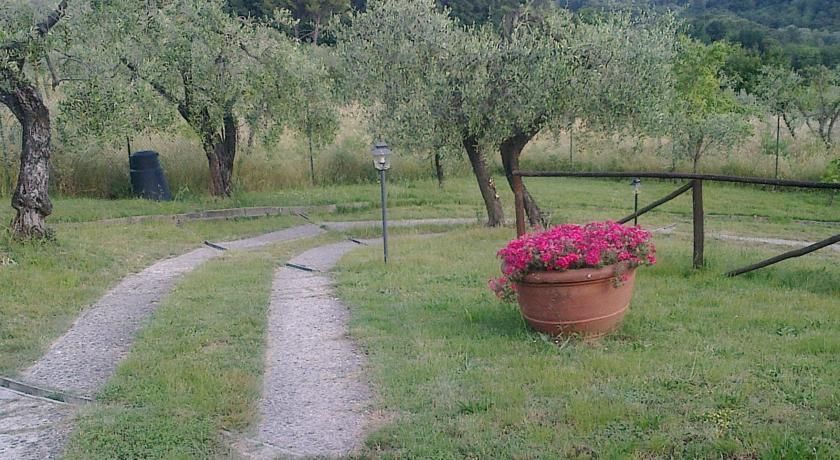 Outdoor Pictures 11