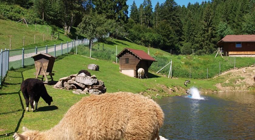 Outdoor Pictures 24