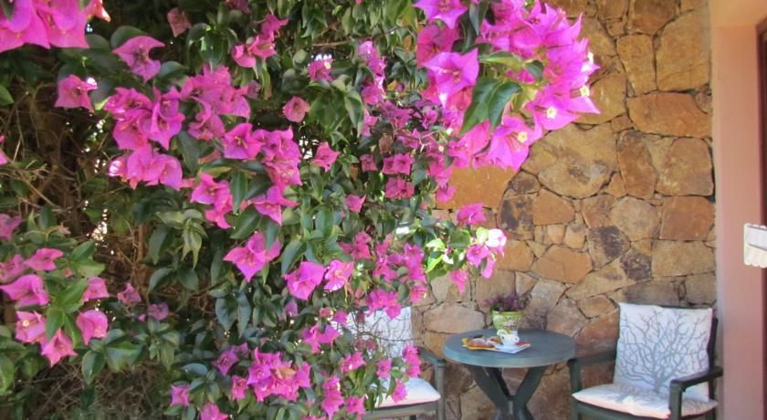 Outdoor Pictures 12