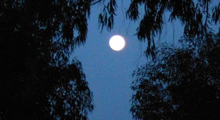 Outdoor Pictures 11