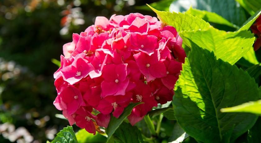 Outdoor Pictures 20