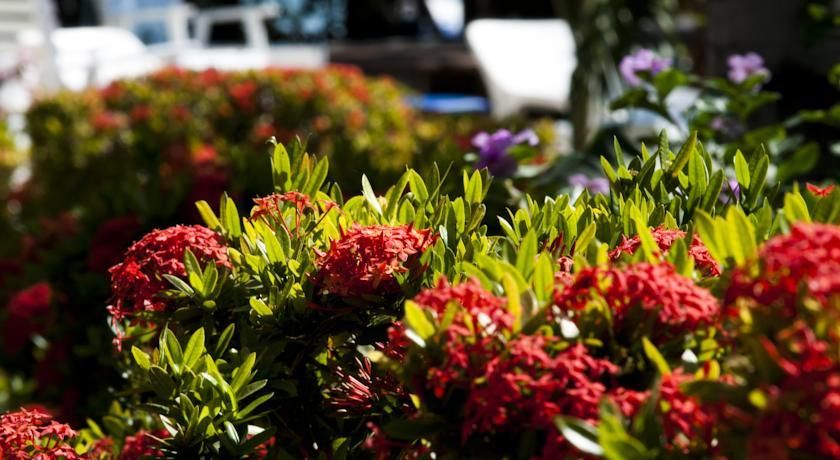 Outdoor Pictures 16