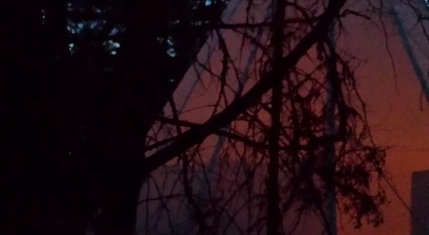 Outdoor Pictures 11