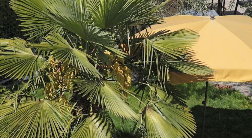 Outdoor Pictures 15