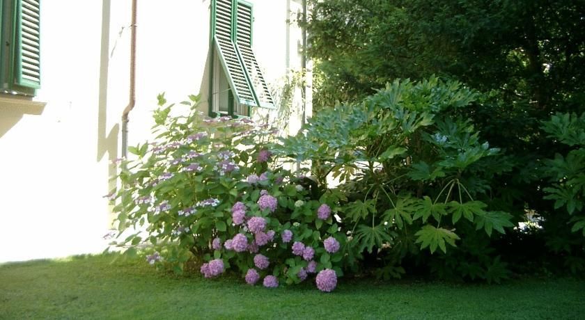Outdoor Pictures 22