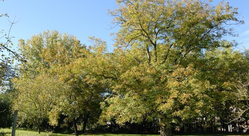 Outdoor Pictures 12