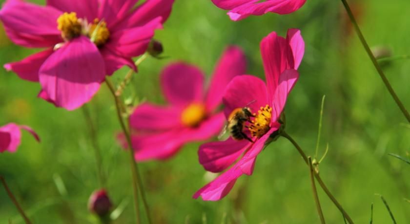 Outdoor Pictures 21