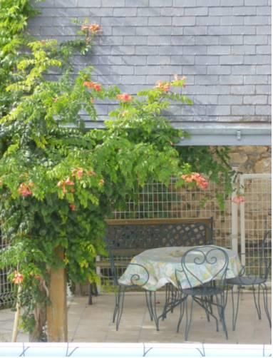 Outdoor Pictures 6