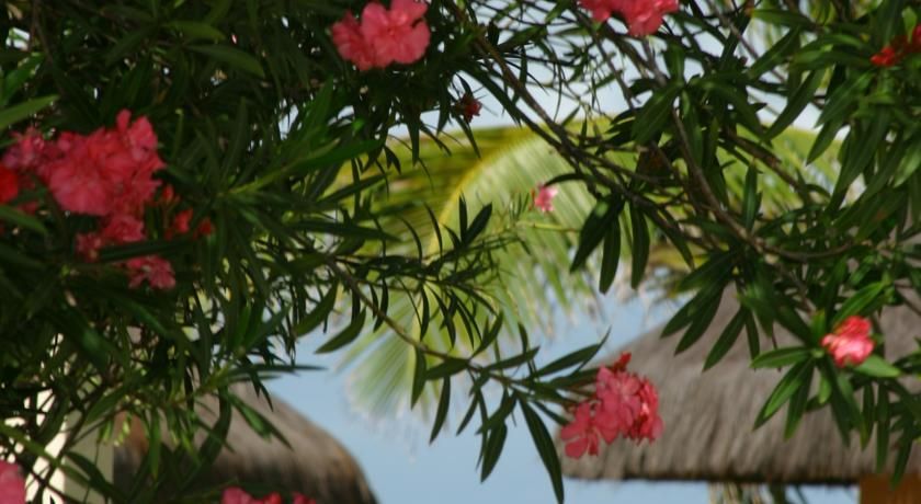 Outdoor Pictures 17