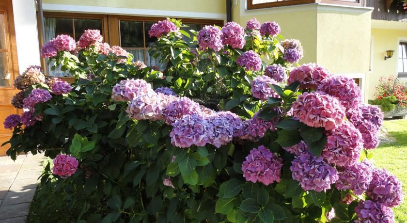 Outdoor Pictures 7