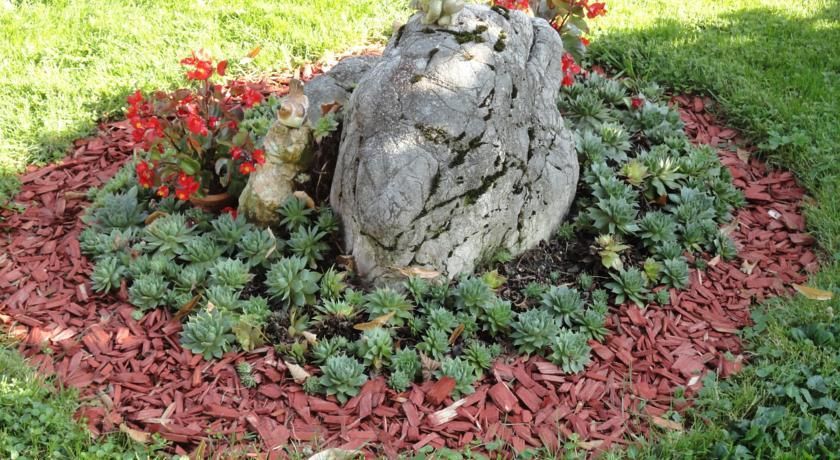 Outdoor Pictures 8