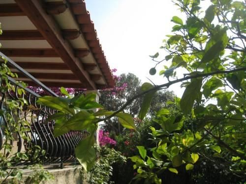 Outdoor Pictures 15