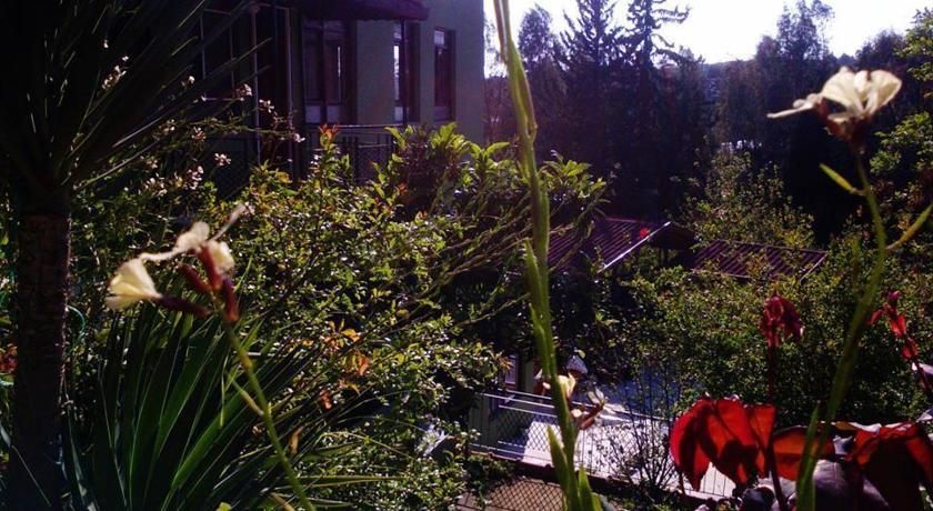 Outdoor Pictures 16