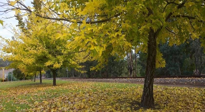Outdoor Pictures 17