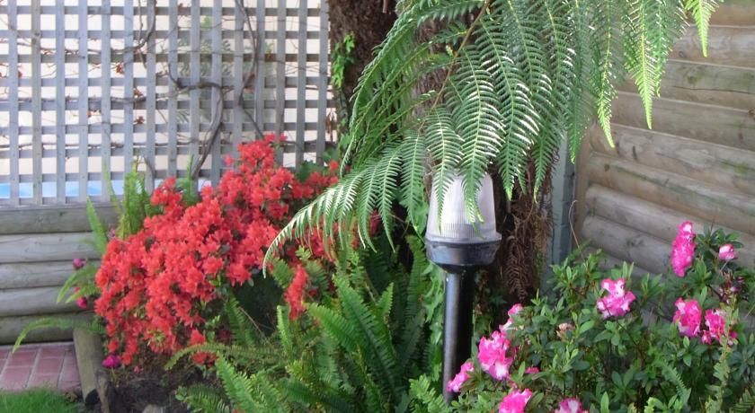 Outdoor Pictures 22