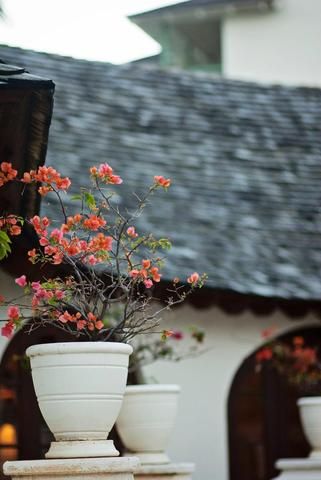 Outdoor Pictures 15