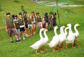Outdoor Pictures 17