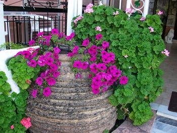 Outdoor Pictures 21