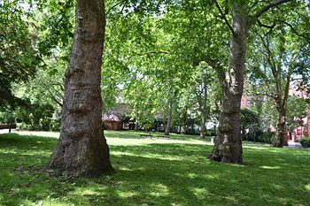 Outdoor Pictures 23