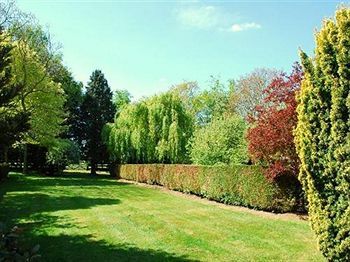 Outdoor Pictures 8