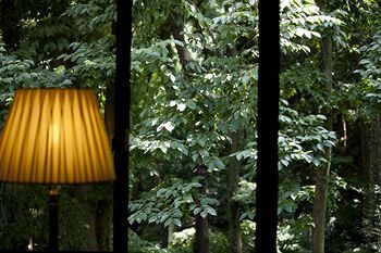 Outdoor Pictures 21