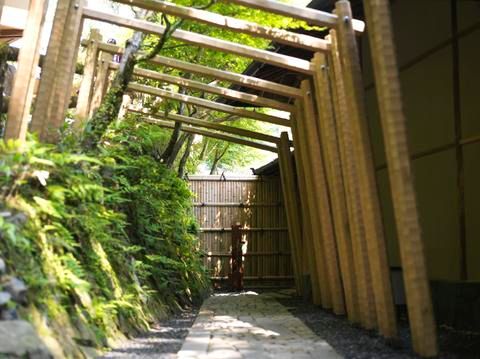Outdoor Pictures 17