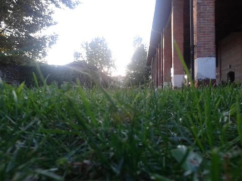 Outdoor Pictures 18