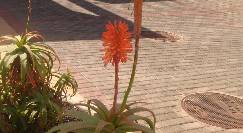 Outdoor Pictures 15