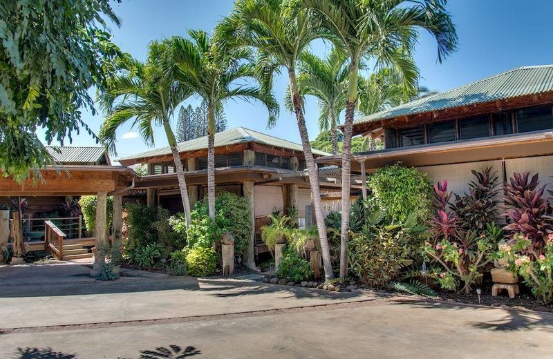 THE ILIKAHI