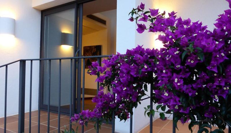 Hotel Sol Ixent