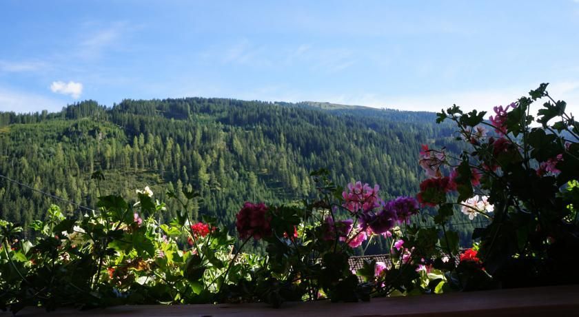 Outdoor Pictures 22