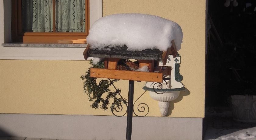 Outdoor Pictures 11