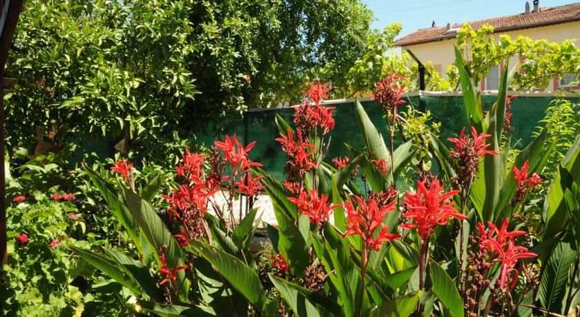 Outdoor Pictures 20