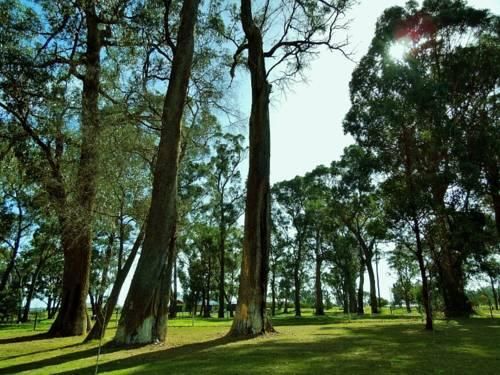 Outdoor Pictures 23
