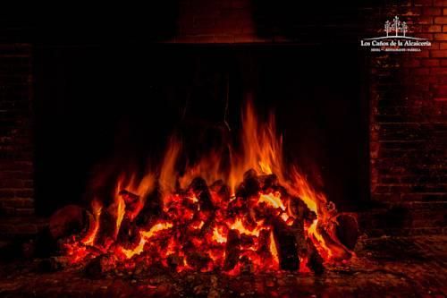 Outdoor Pictures 21